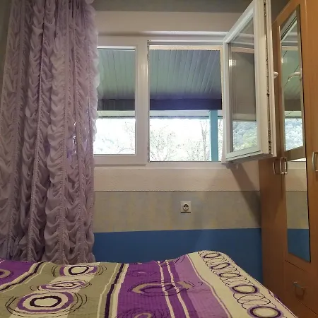 Pensión Mir *