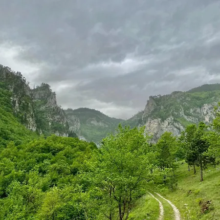 Mir Podgorica