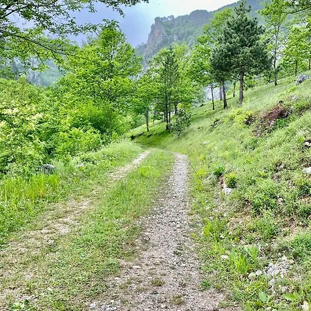 Mir Podgorica